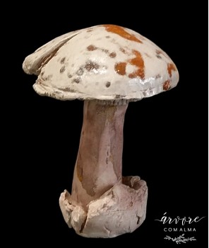 Cogumelo, Mushroom, Champignon